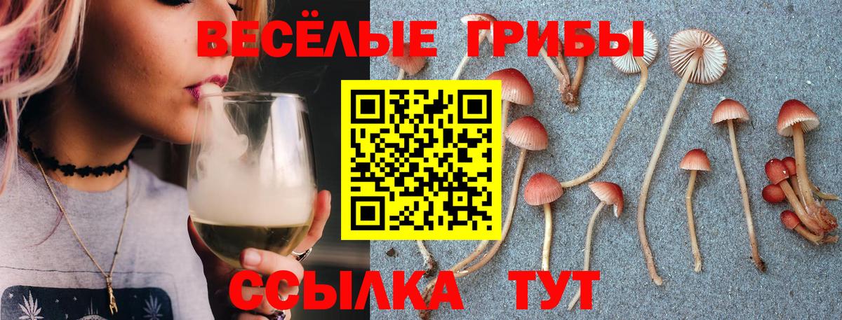 Псилоцибиновые грибы GOLDEN TEACHER Свободный