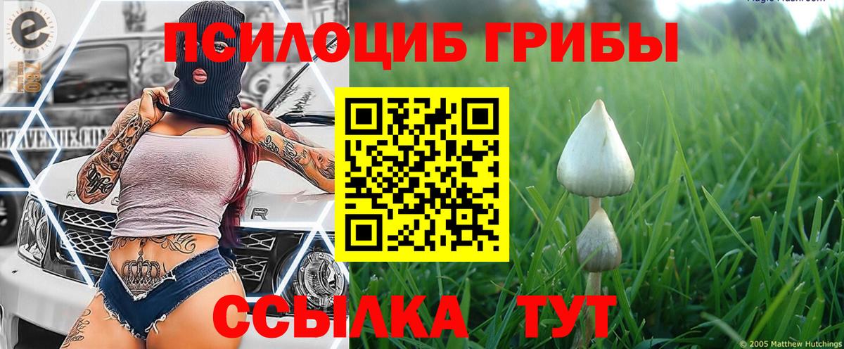 Псилоцибиновые грибы мухоморы  Галлюциногенные грибы MAGIC MUSHROOMS  Вход с VPN  Свободный 